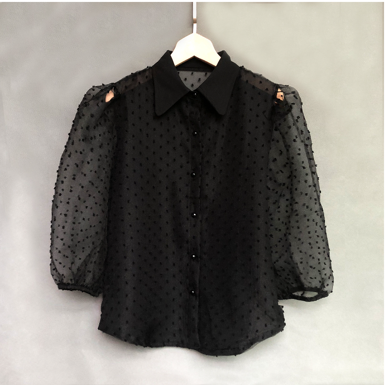 Embroidered Mesh Puff-Sleeve Blouse