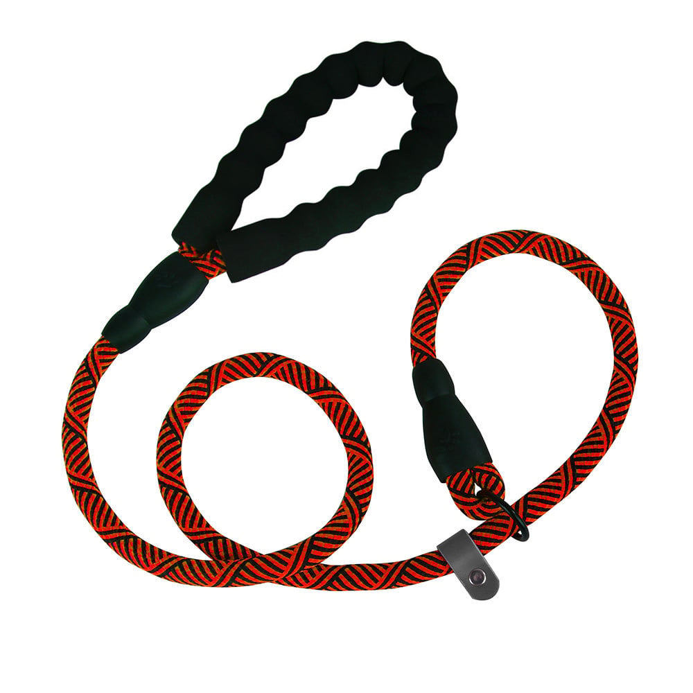 Everyday Nylon Dog Leash