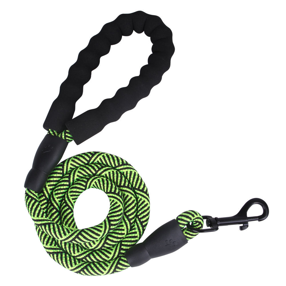 Everyday Nylon Dog Leash